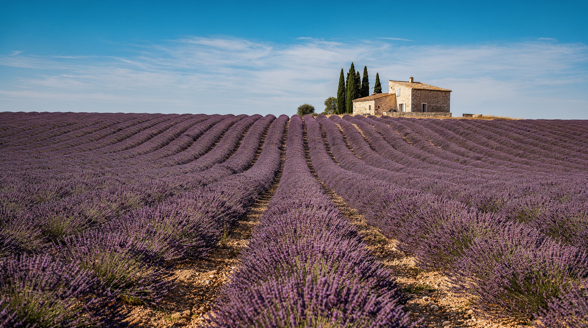 Lavendel-Tagebuch — eine Woche auf dem Valensole-Plateau — Eine Woche in der Provence zur Lavendelblüte: das Plateau, die beste Reisezeit, 