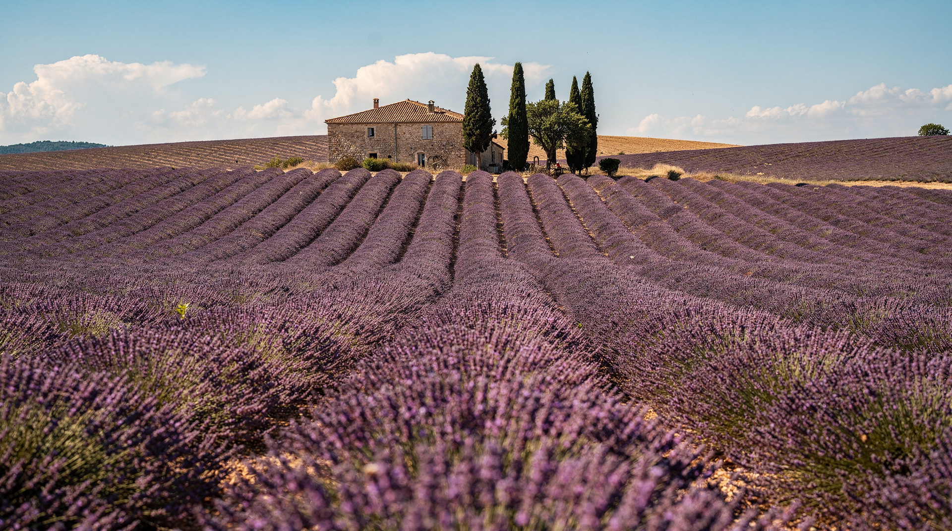 Valensole plateau
