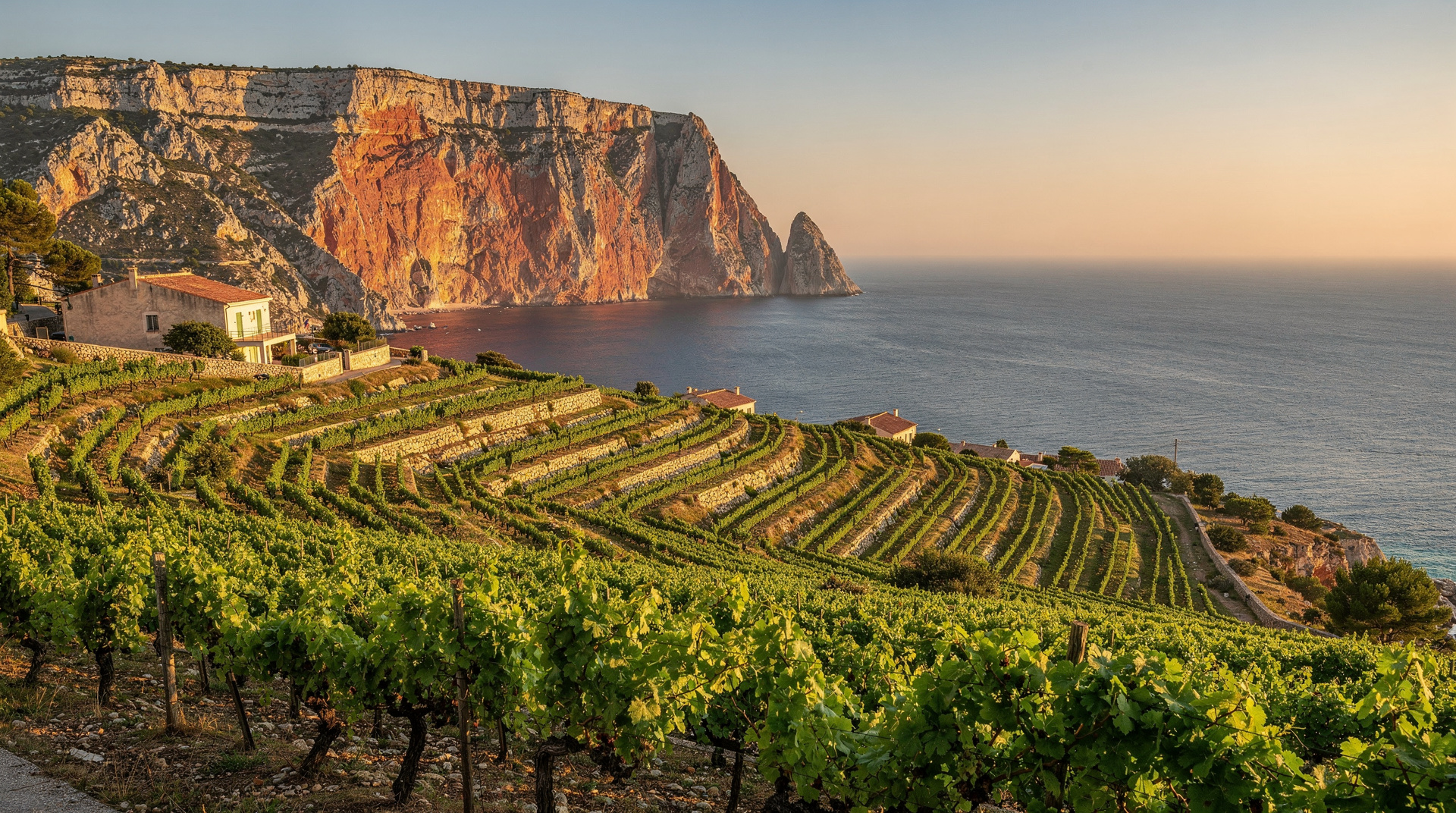 Cassis-Weinführer: Frankreichs älteste Küsten-AOC — AOC Cassis — 12 Domänen, 210 ha, 67% Weißwein (Marsanne, Clairette), Kalkstein-T