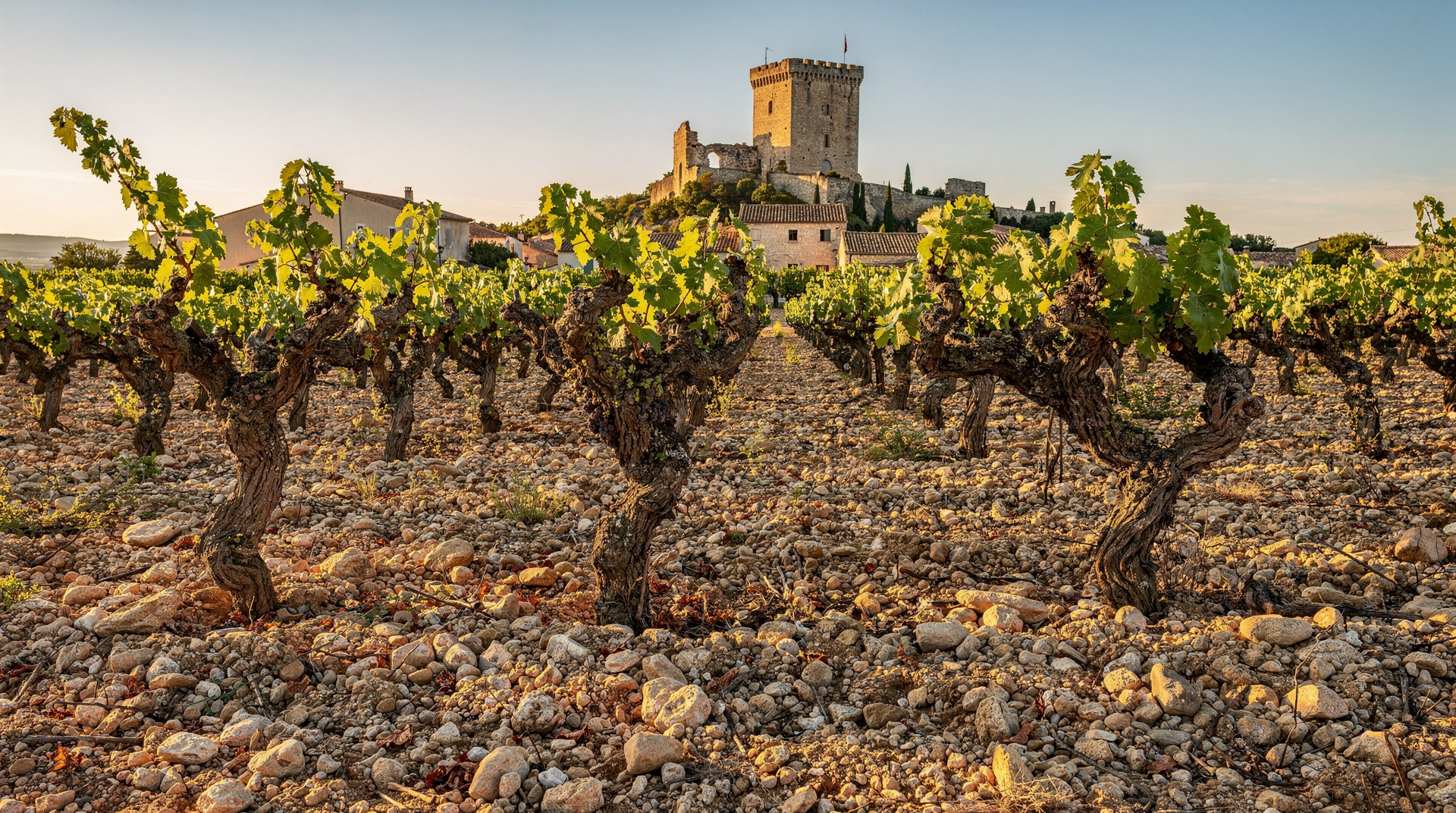 Châteauneuf-du-Pape Weintour: Galets Roulés, 13 Trauben und der Besuch von Avignon — Châteauneuf-du-Pape Weintour — 13-Trauben-Cuvée, Galets Roulés, Papstgeschichte,