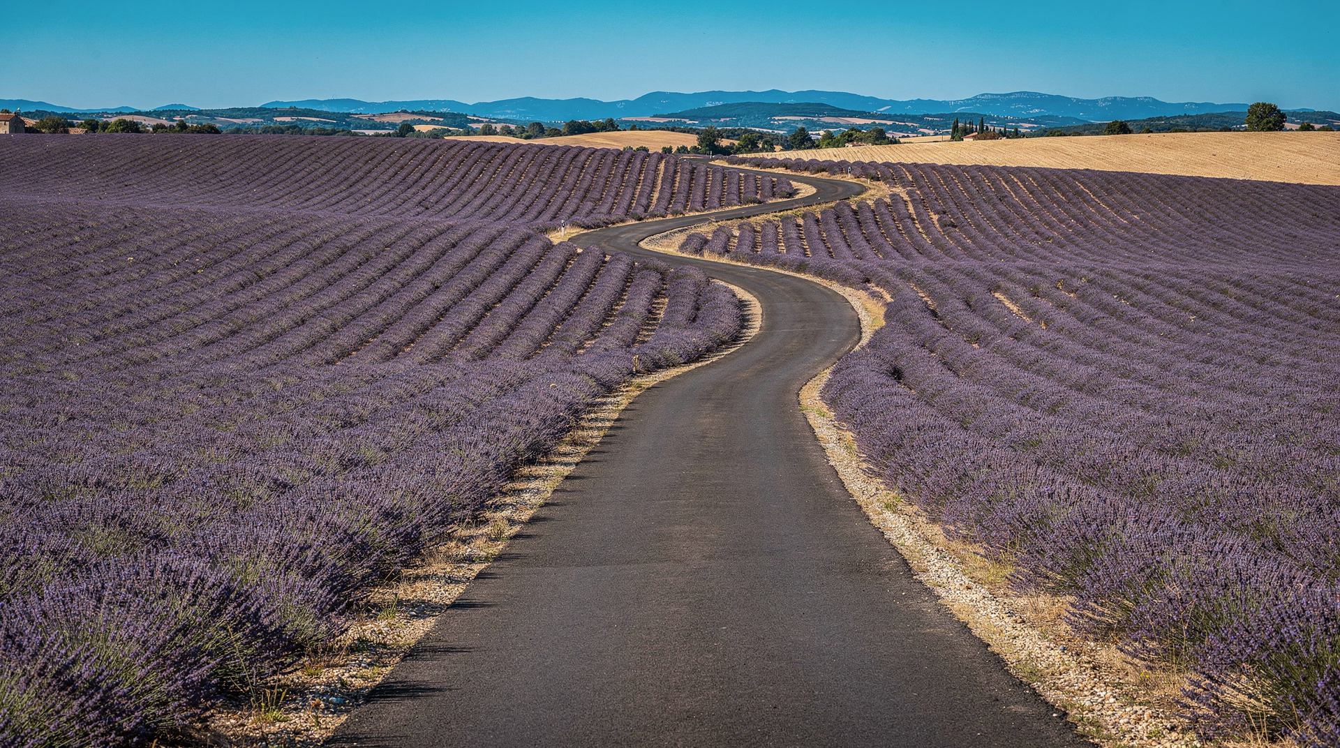 Provence-Lavendelroute: 3-Tage-Sommer-Reiseplan (Mitte Juni bis Mitte Juli) — Drei Tage auf der Provence-Lavendelroute per Auto: Valensole-Plateau, Gordes, Ab