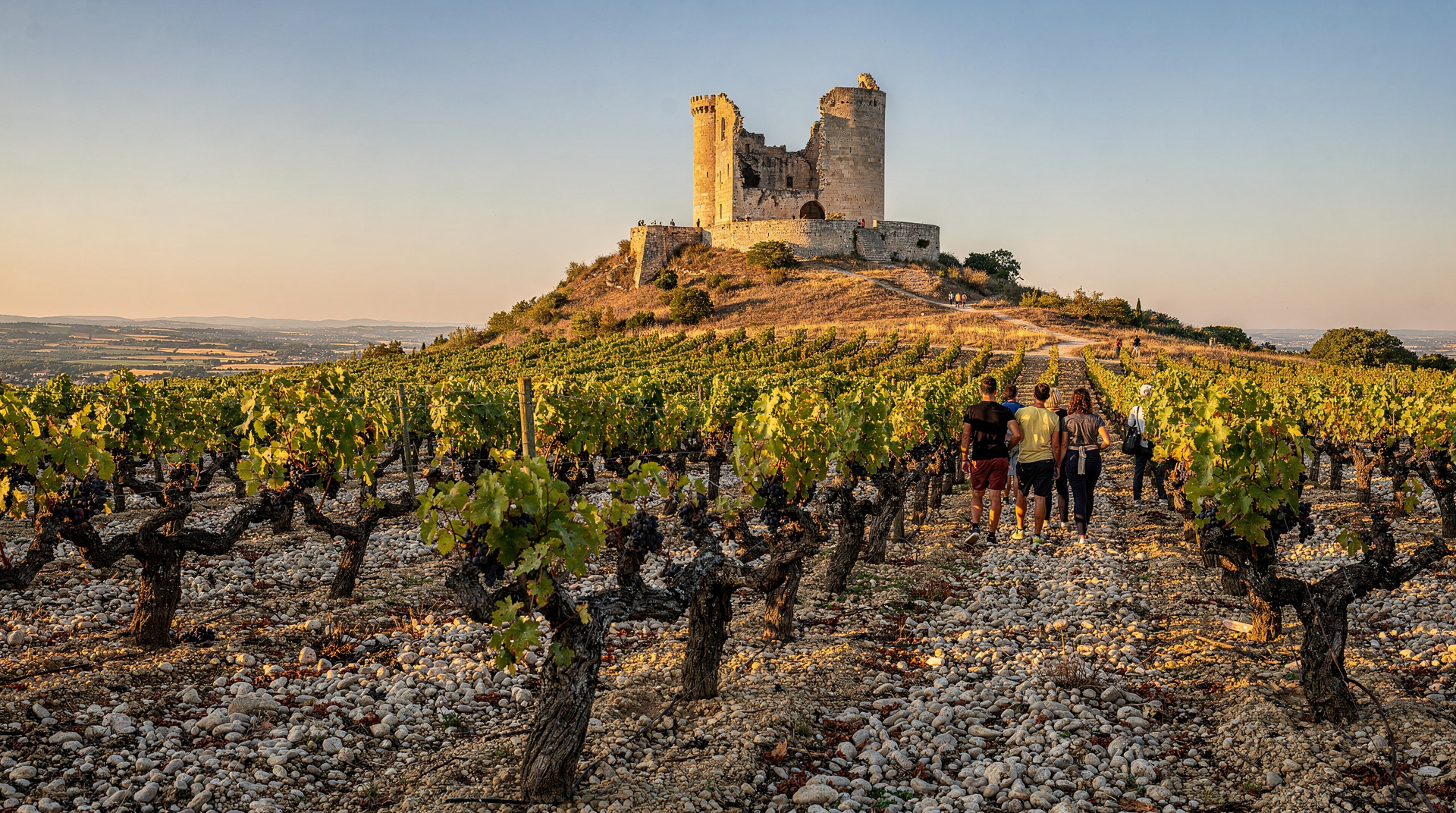 Avignon and Châteauneuf-du-Pape wine tour: our top pick reviewed