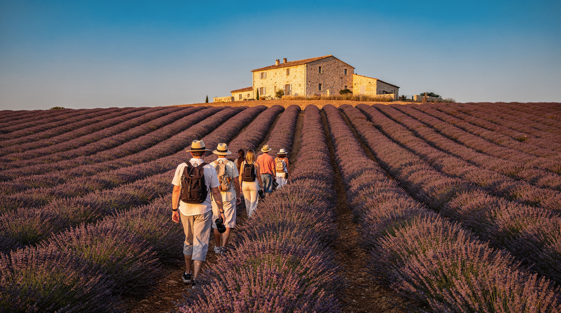 Valensole lavender tour from Marseille: our top pick reviewed